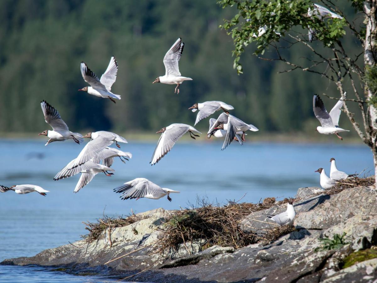 Colombia ganó el primer lugar en el Global Big Day 2024