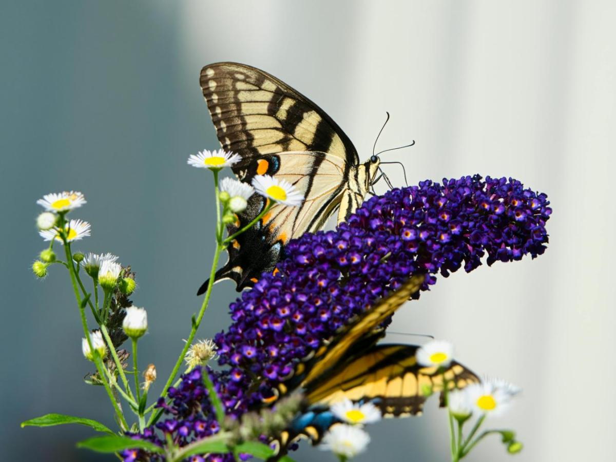 Ciencia bajo amenaza: la violencia narco impacta la investigación en Ecuador