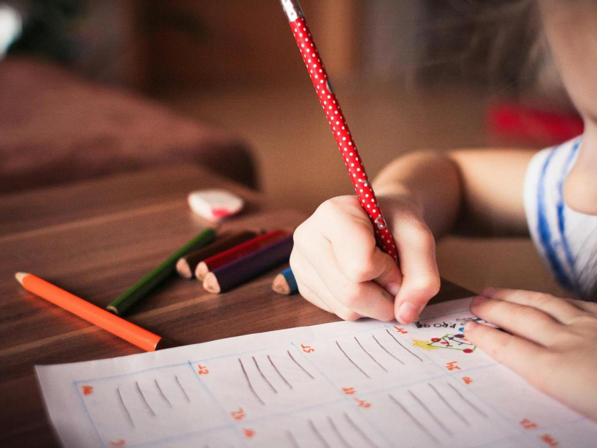 ¿Buscas colegio para tus hijos? Cinco recomendaciones que debes tener en cuenta