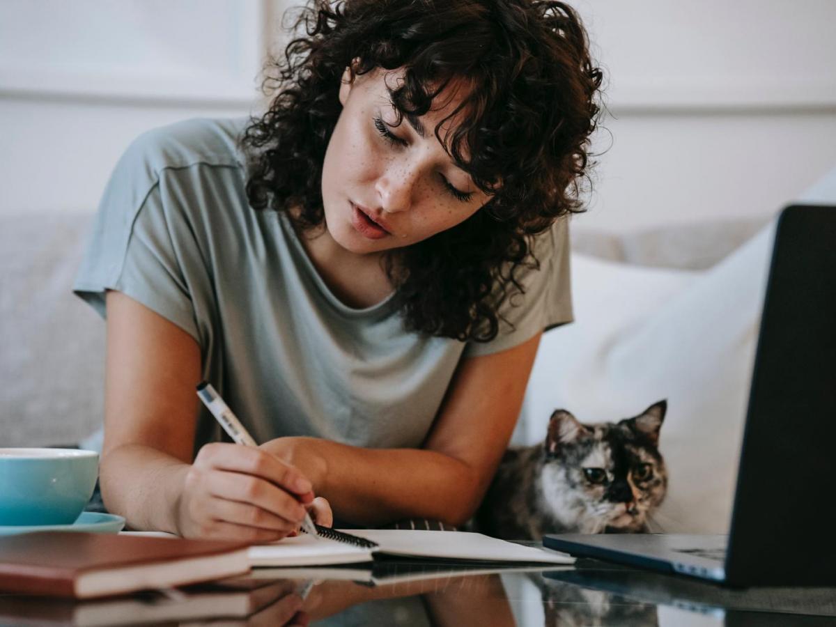 Todos a la U 2023: convocatoria, requisitos, fechas y beneficiarios 