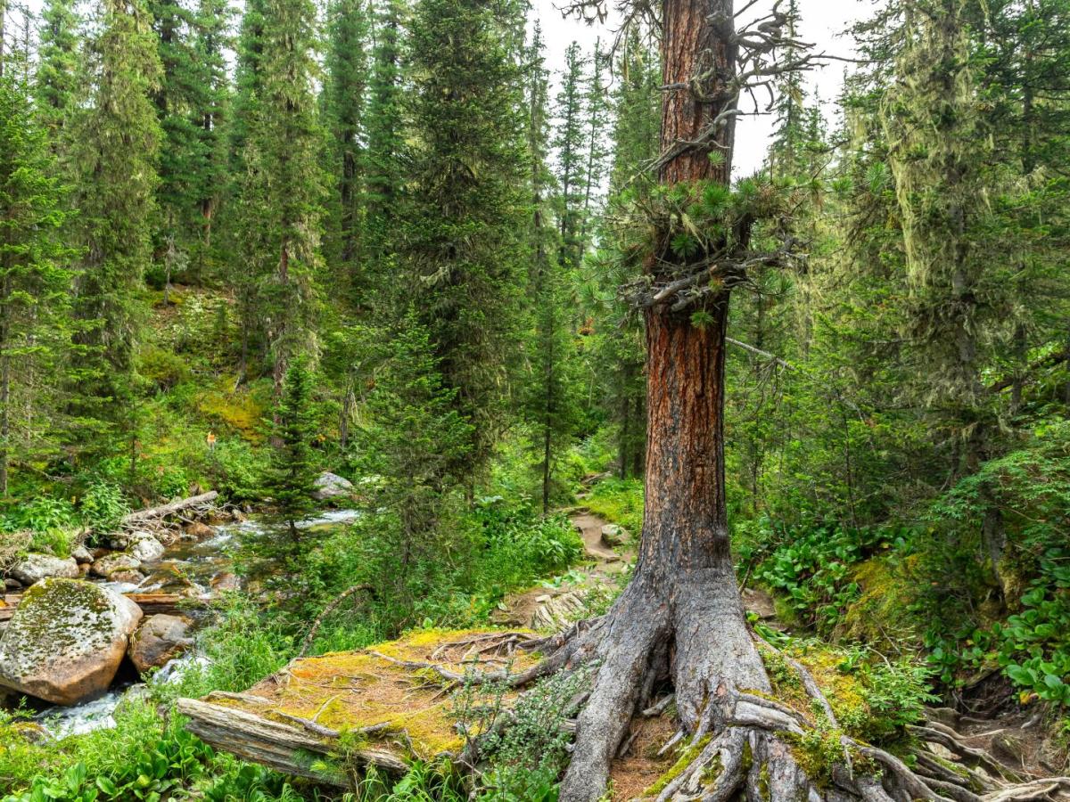 Desaparición de ecosistemas - panorama global