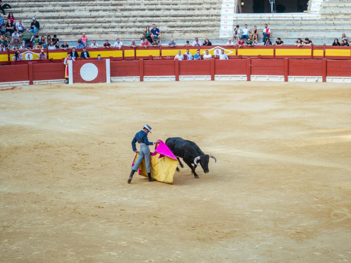 Prohibidas las corridas de toros en Colombia: periodo de transición