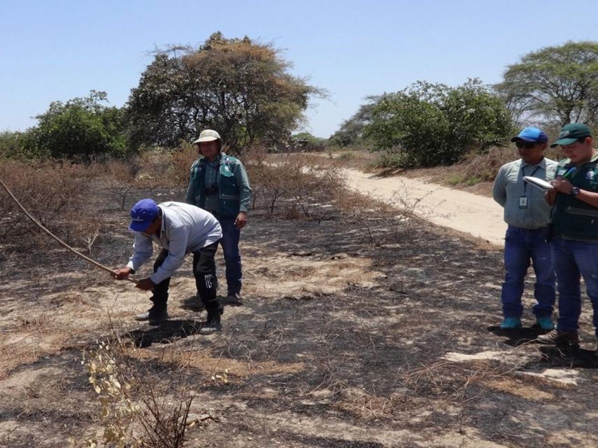  La Guajira presenta riesgo medio-alto de incendios forestales