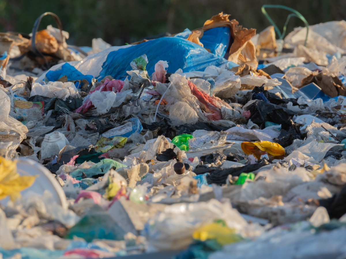 Eliminación plásticos de un solo uso Colombia | Multas