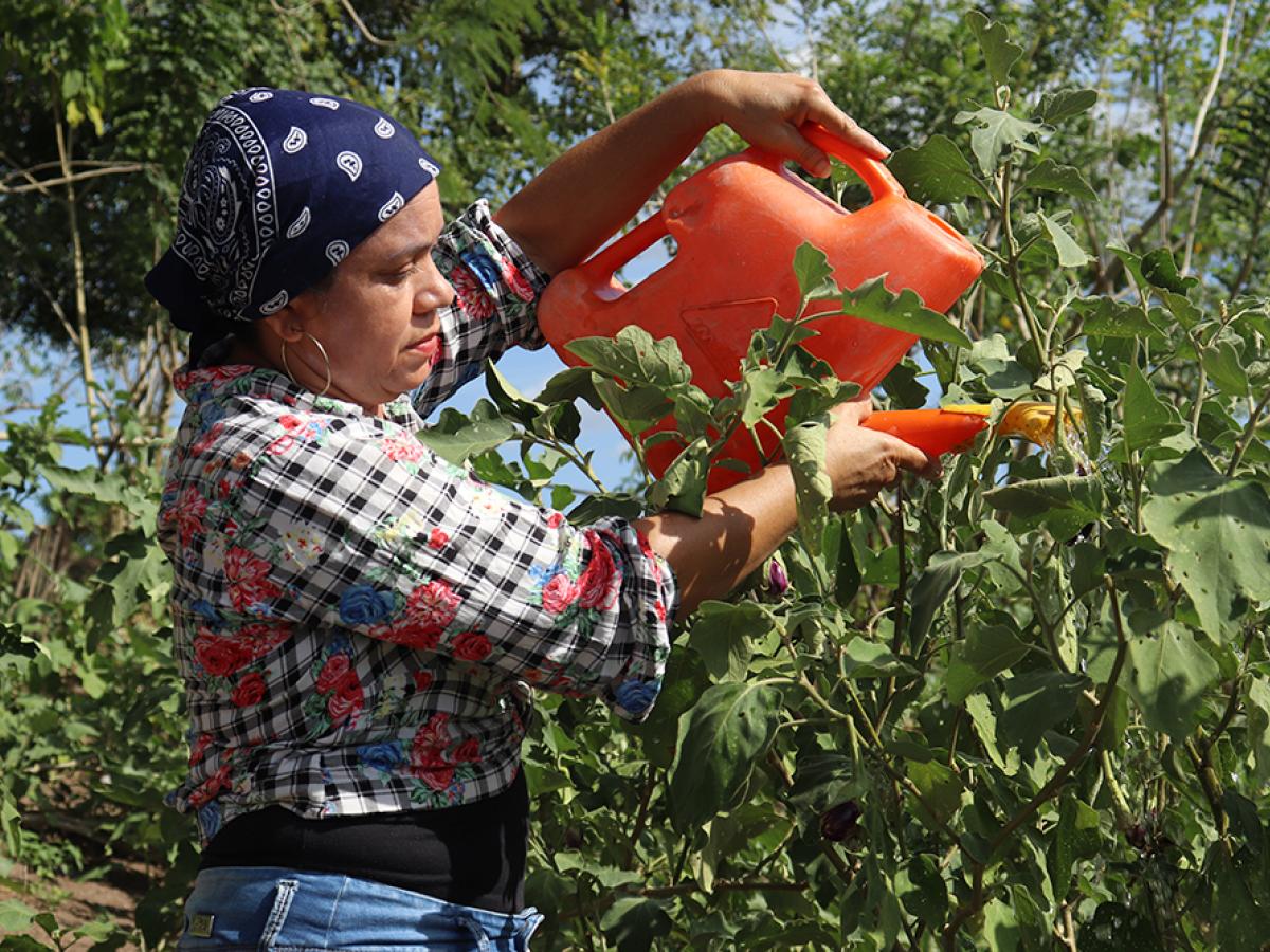 Campesinas emprendedoras en los Montes de María, Sucre