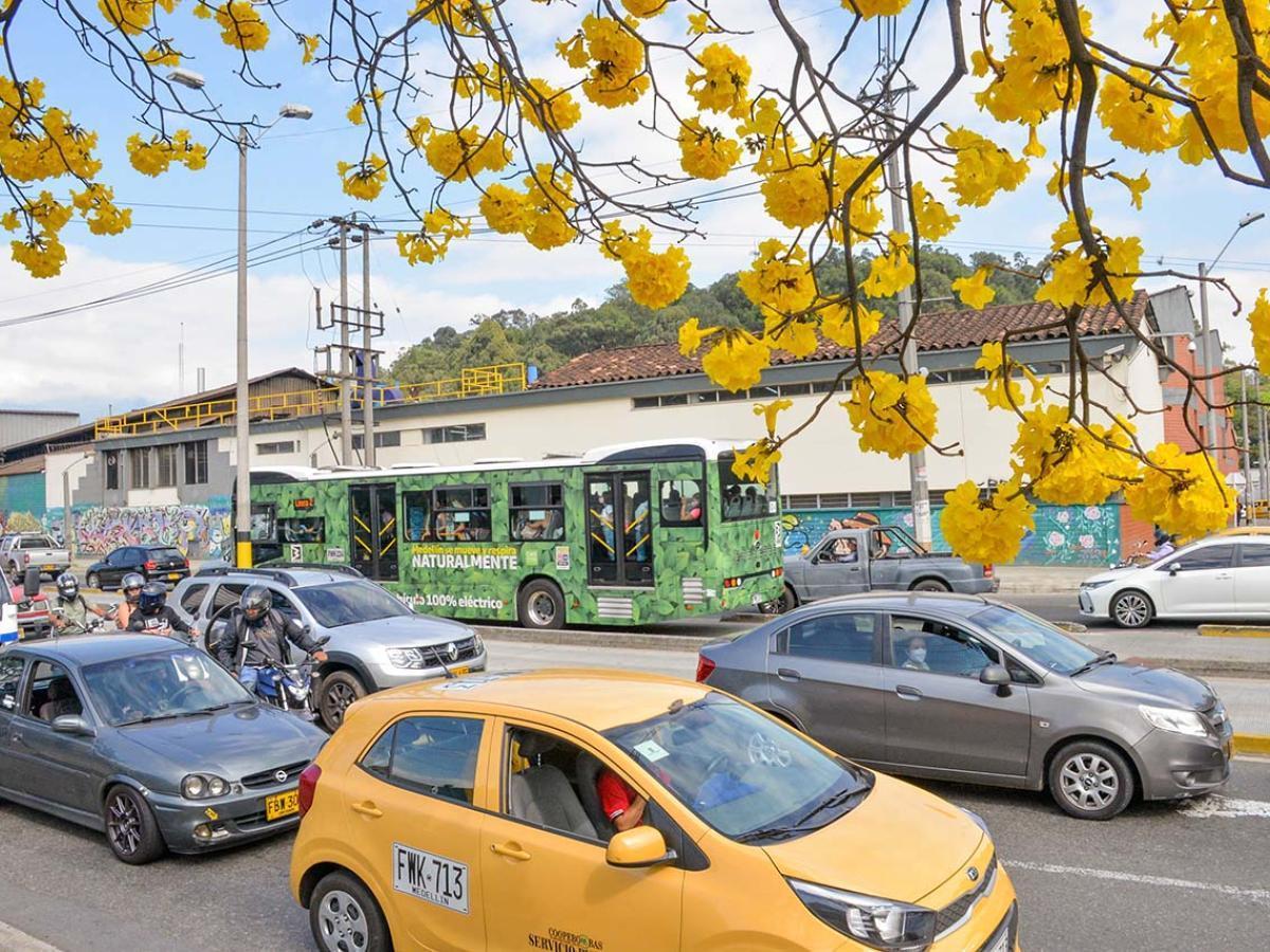Pico y placa Medellín HOY: 7 al 11 de octubre