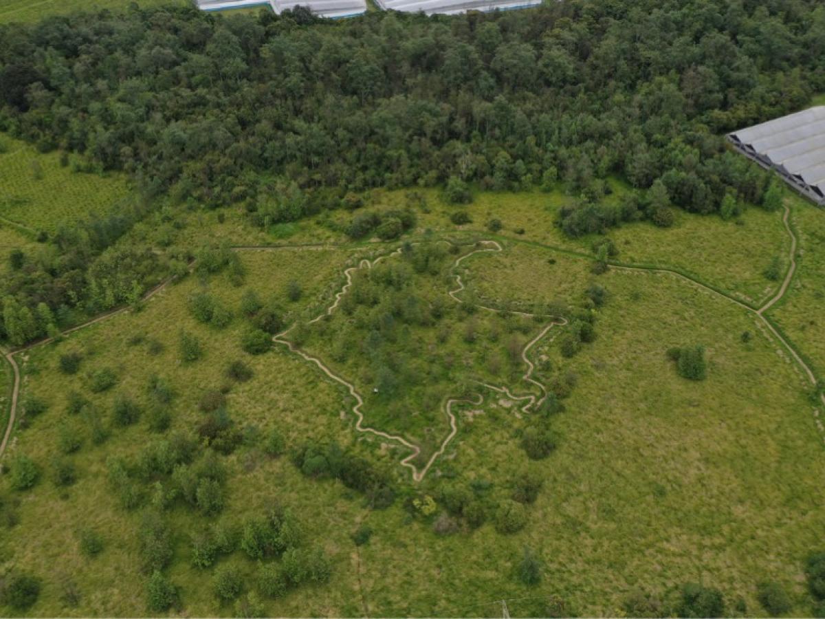 Reserva Van Der Hammen: hectáreas para ampliar la avenida Boyacá