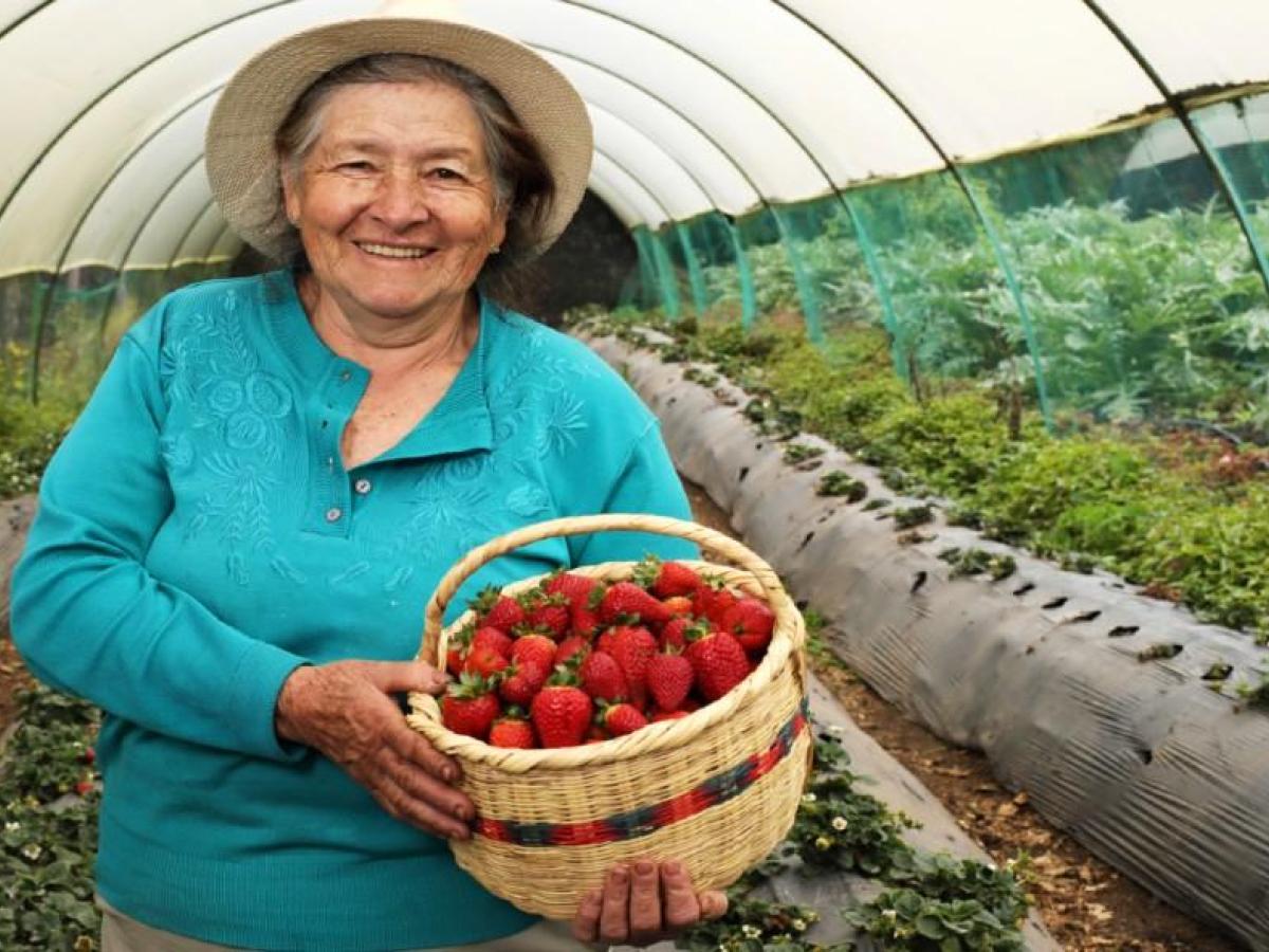 Mercado Campesino de Bogotá: ¡Las mujeres toman el protagonismo!