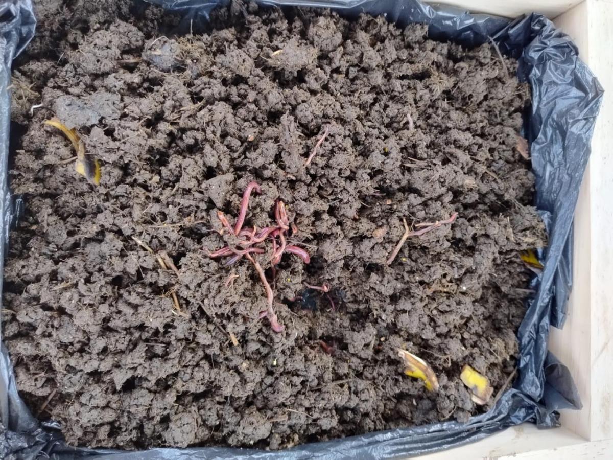 Estudiante de Villa Moreno en Nariño, defenderá proyecto en la NASA