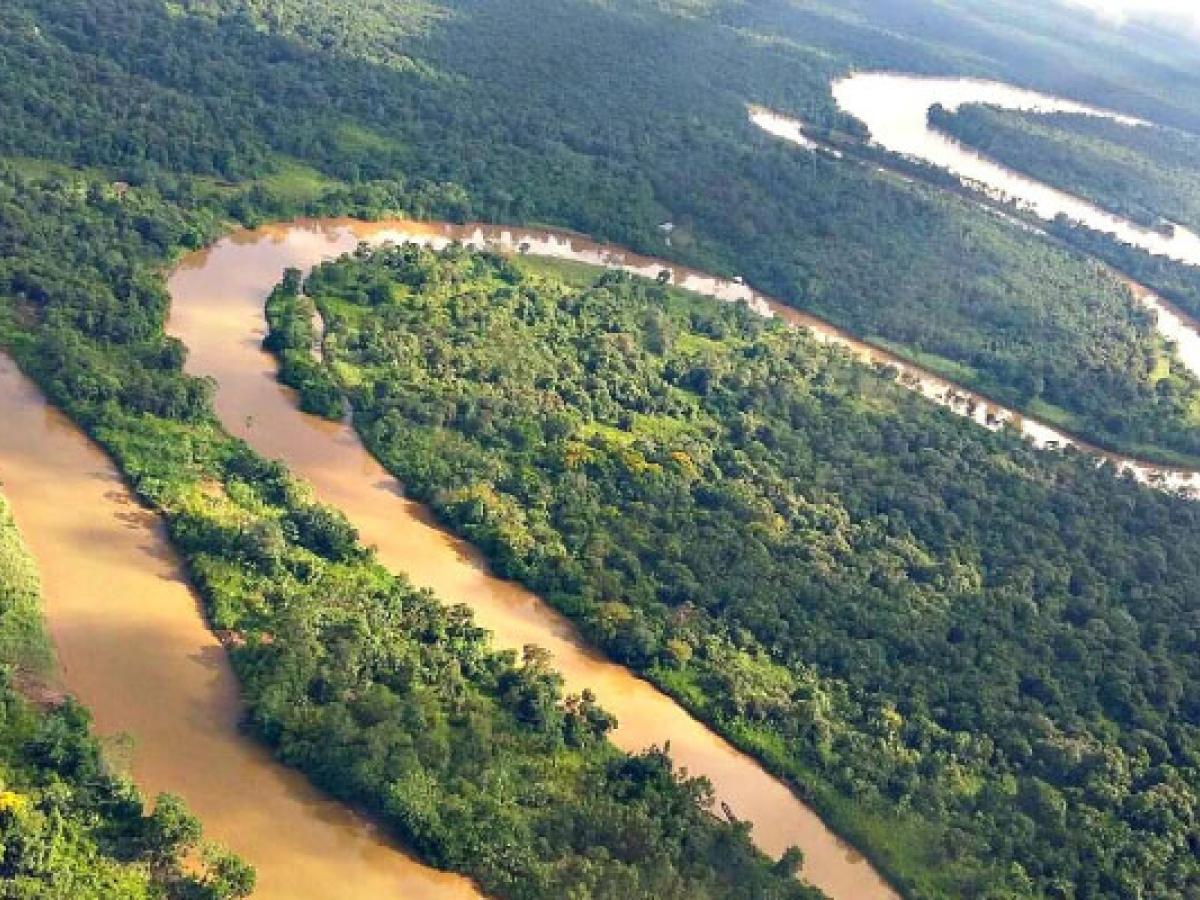 El Atrato, un río con derechos lastimados pese a histórico fallo en Colombia