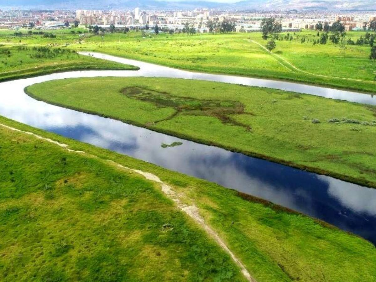 Procuraduría pidió a MinAmbiente gestionar especie invasora en río Bogotá 