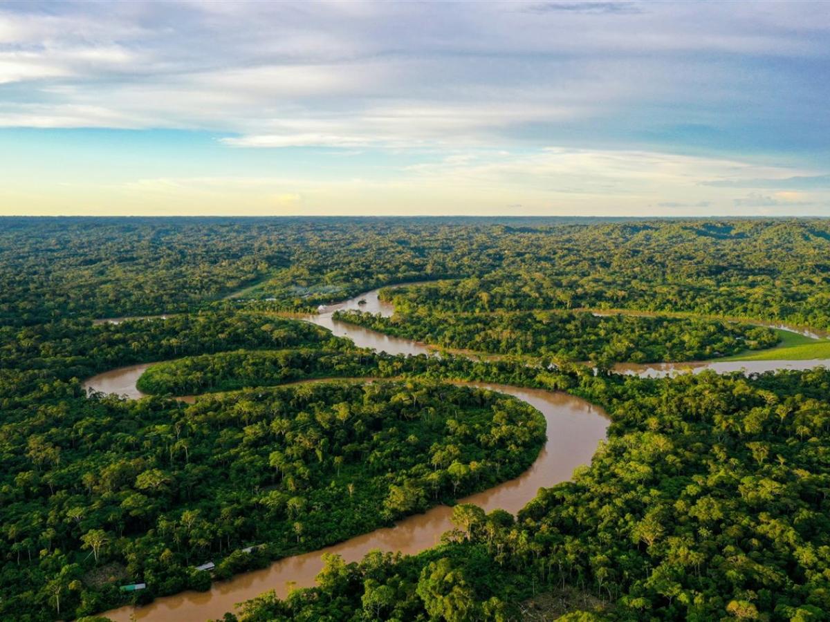 Gobierno destaca 16% menos deforestación en la Amazonía