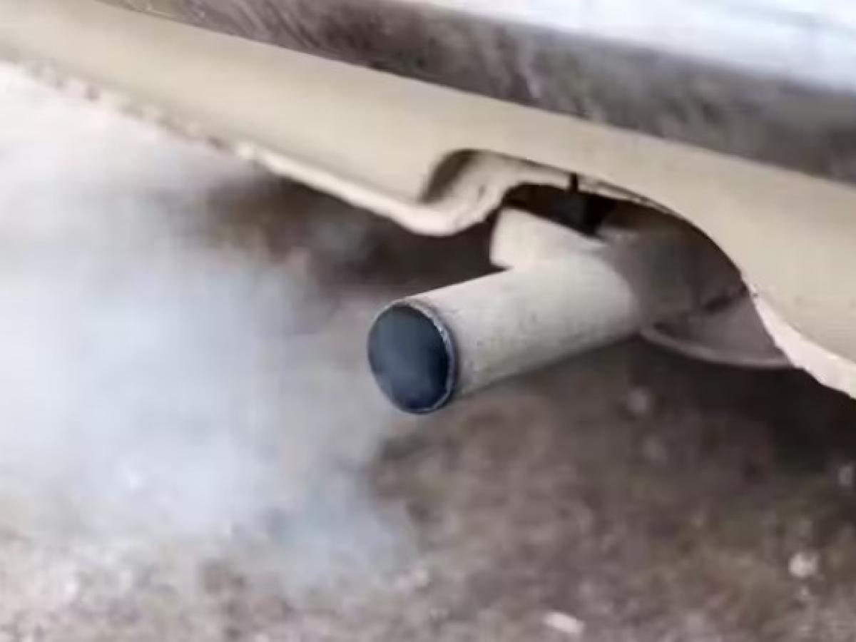 El aire contaminado de las ciudades acelera el envejecimiento del cerebro