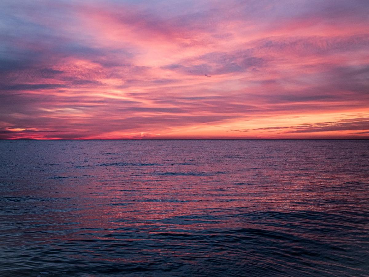 Puntos clave para proteger la altamar | Océanos y medio ambiente 