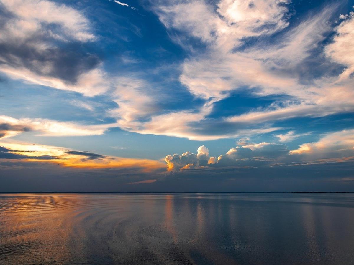 Origen e historia de la vida: descubrimiento pone en duda teorías 