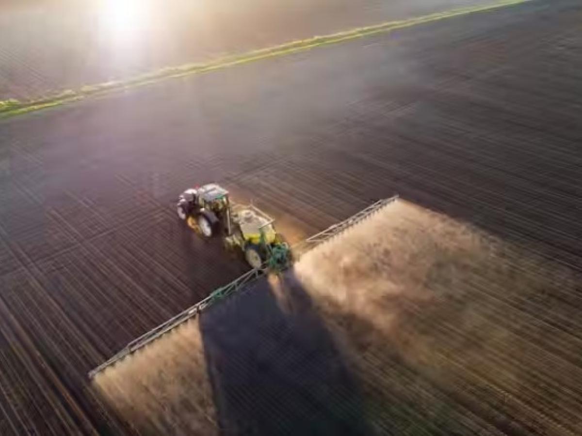 Menos fertilizantes y más legumbres: estrategias para reducir las emisiones de la agricultura y la ganadería