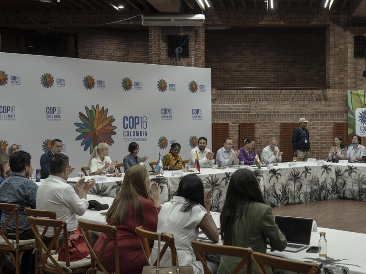 COP16 en Cali: presidentes que participarán de la cumbre
