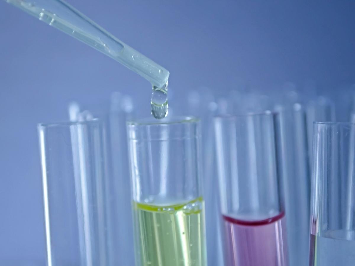 Corte exhorta a MinSalud a garantizar el acceso al uso del cannabis medicinal