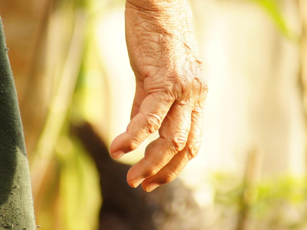 Música colombiana sobre la memoria y el retorno a la tierra
