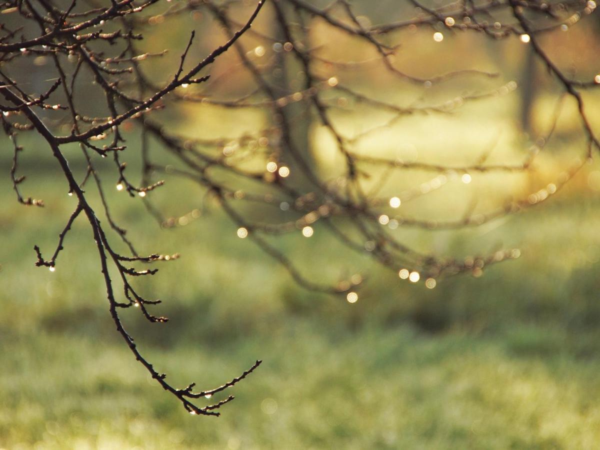 Advierten posible desabastecimiento de agua en Antioquia 