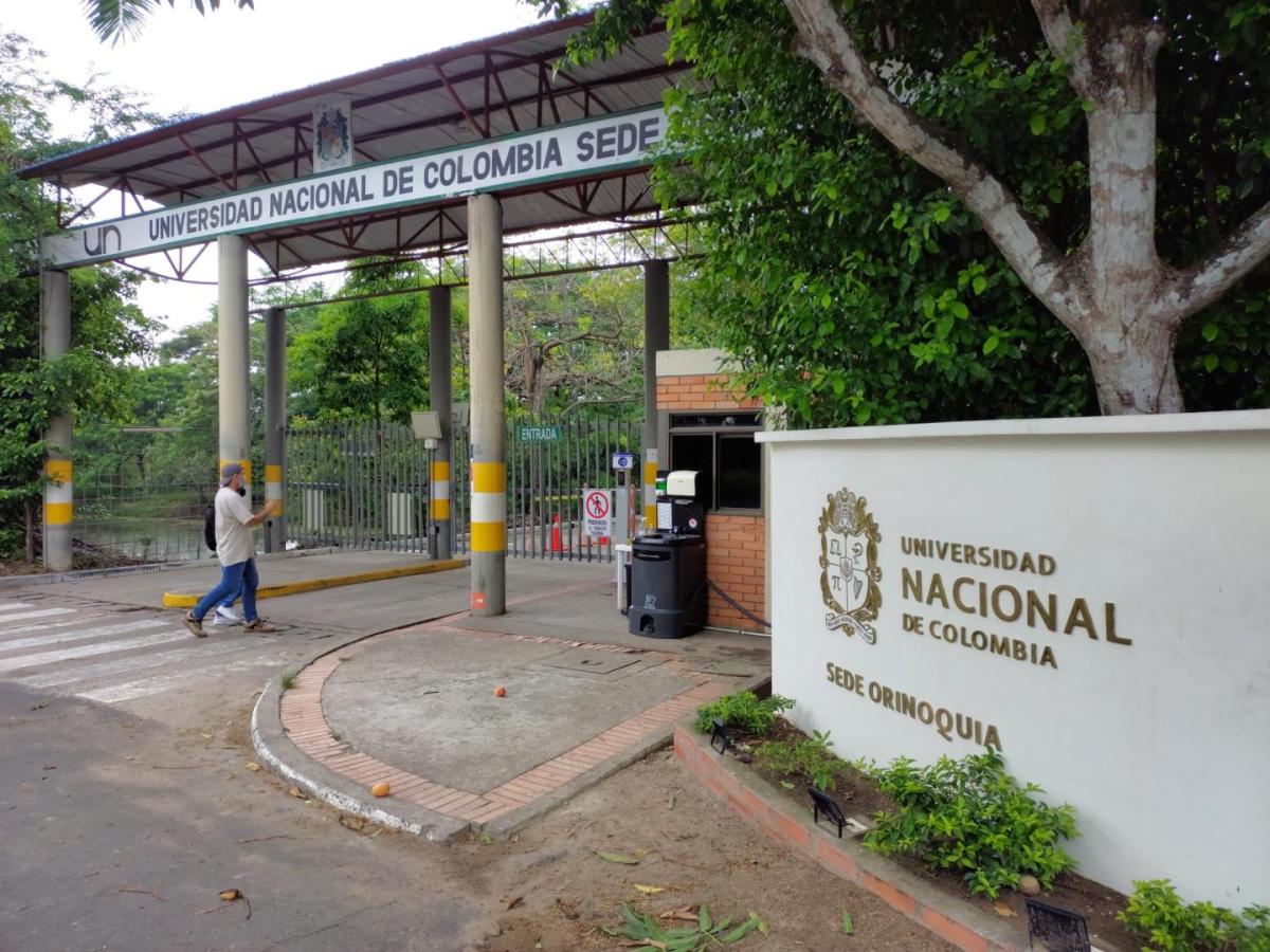 Conoce la oferta académica de la Universidad Nacional en el departamento de Arauca 