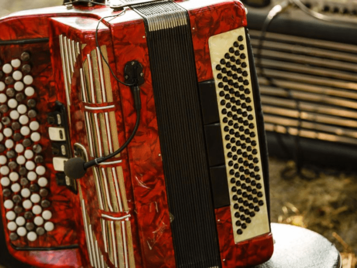 Festival Vallenato al Parque 2024 Bogotá: artistas, programación, horarios