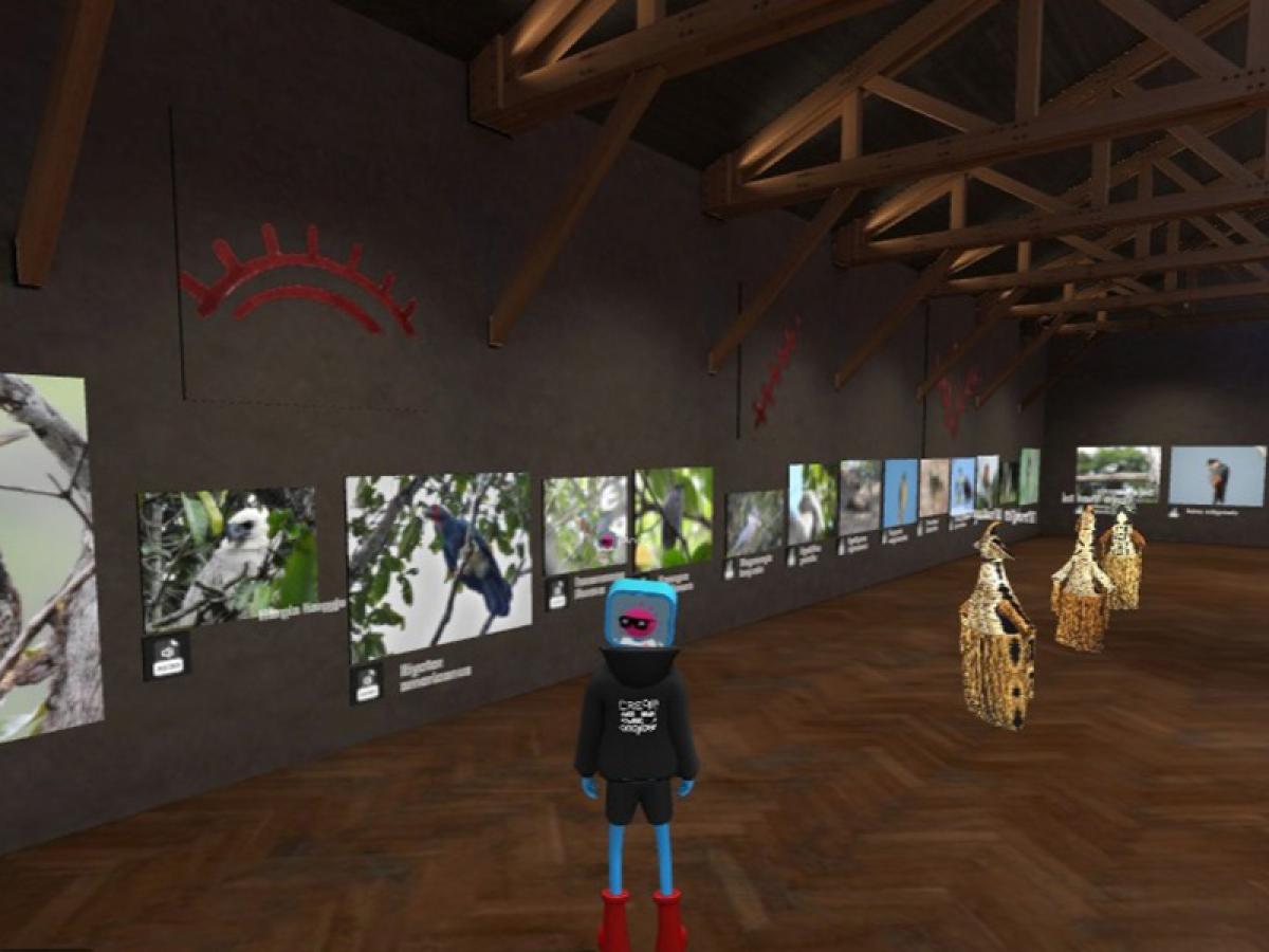 Descubre la maloka virtual del Sena: patrimonio cultural del Vaupés en línea