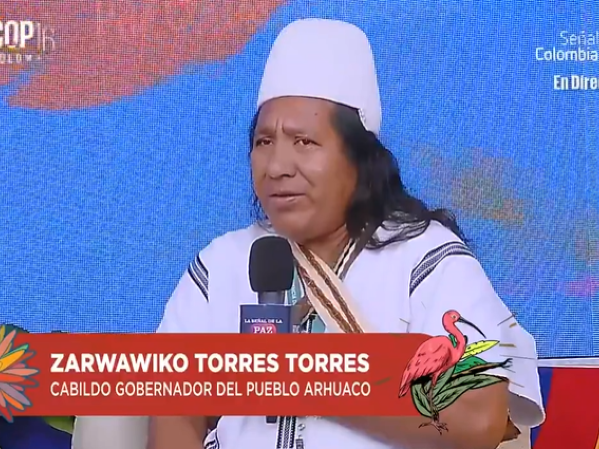 Entrevista a Zarwawico Torres, líder indígena en el Calentao