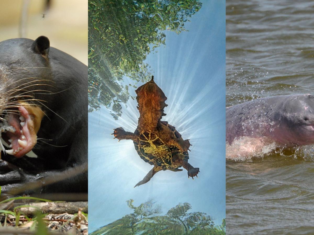 Foto: Página Radio Nacional de Colombia 