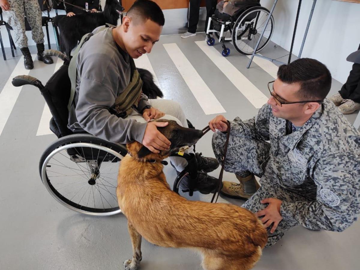 Estrés postraumático, una realidad que 'toca' a las Fuerzas Militares de Colombia