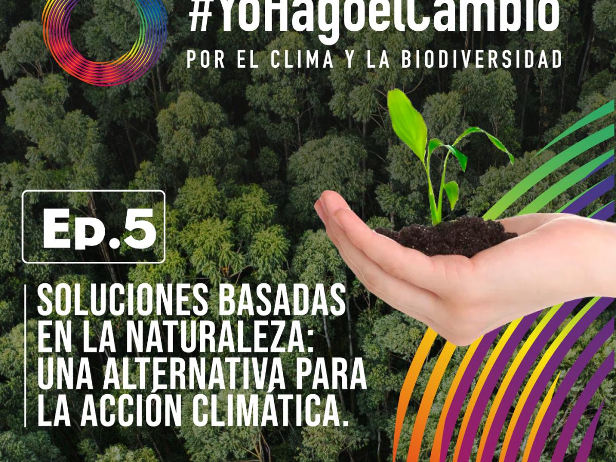 Soluciones Basadas en la Naturaleza