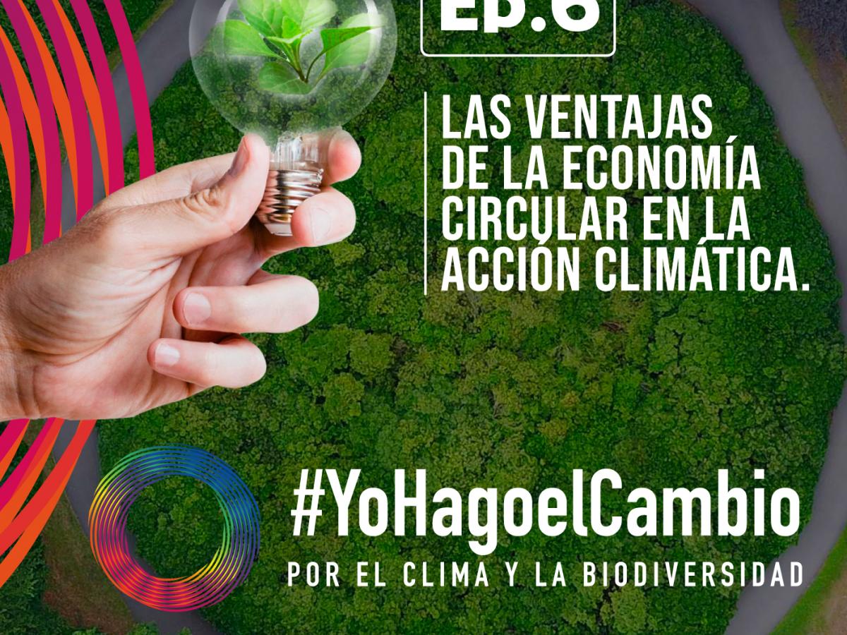 Reciclaje, Economía Circular