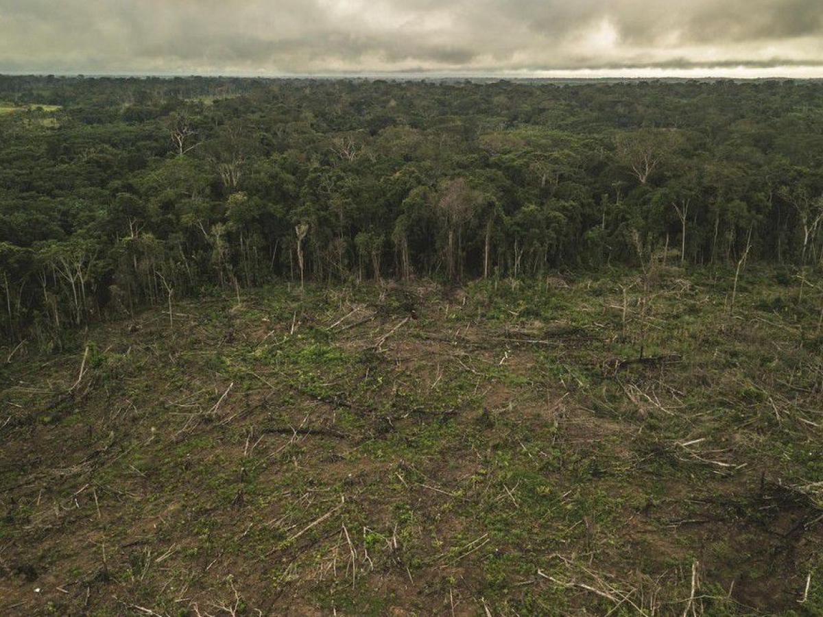 Temporada 2 Episodio 3 - Sobreexplotación