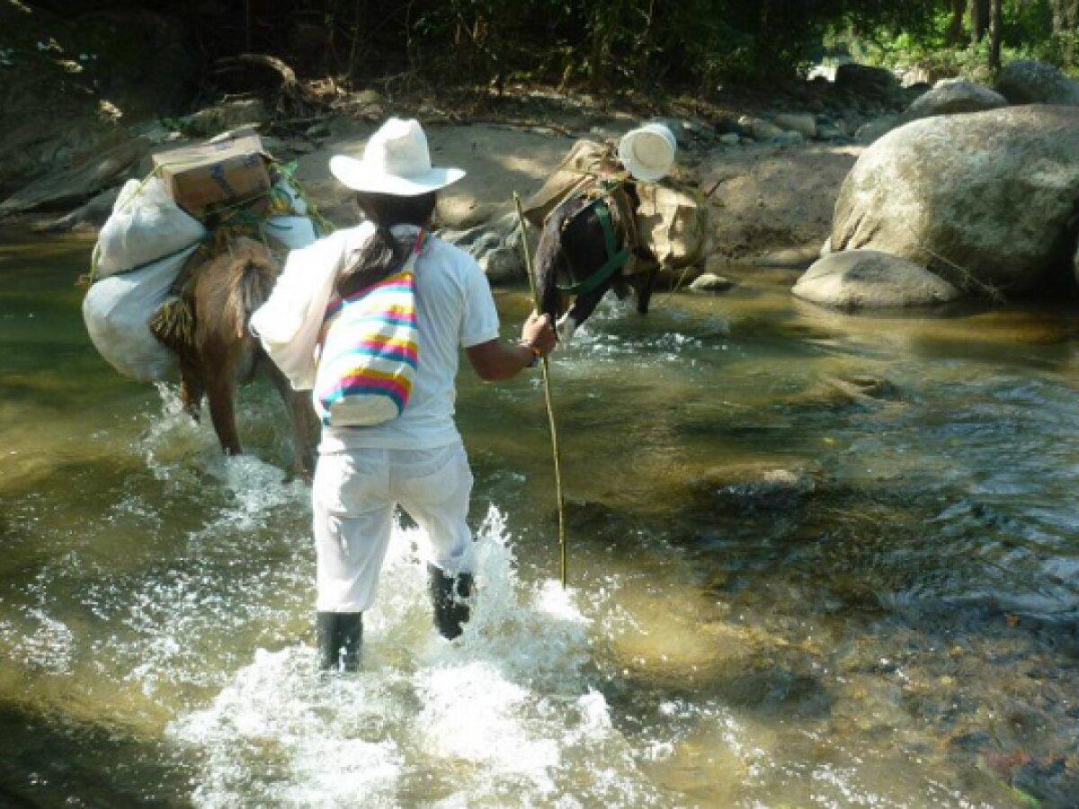 Foto: Página Radio Nacional de Colombia 