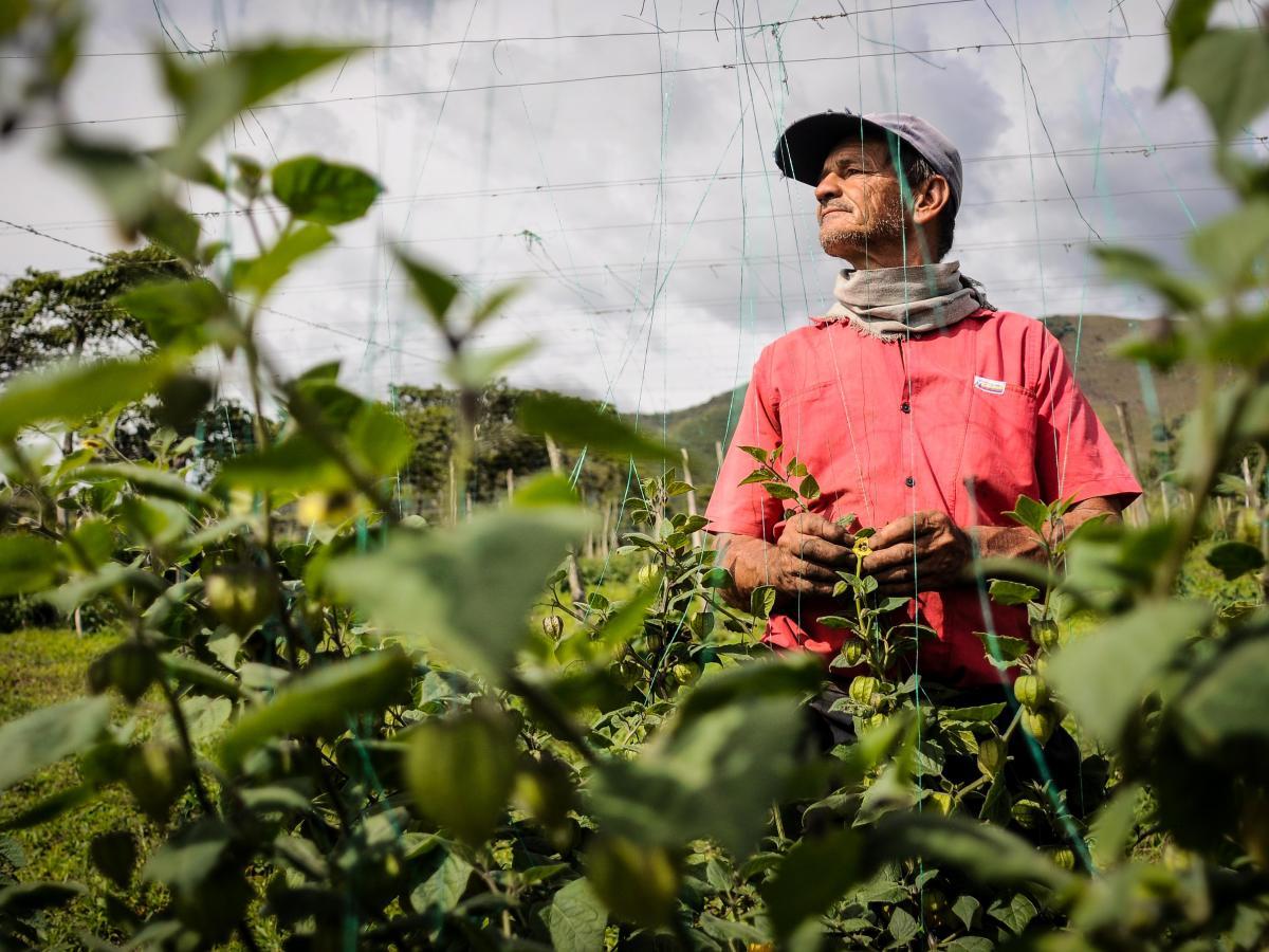 ‘El que no sabe, es como el que no ve’ 