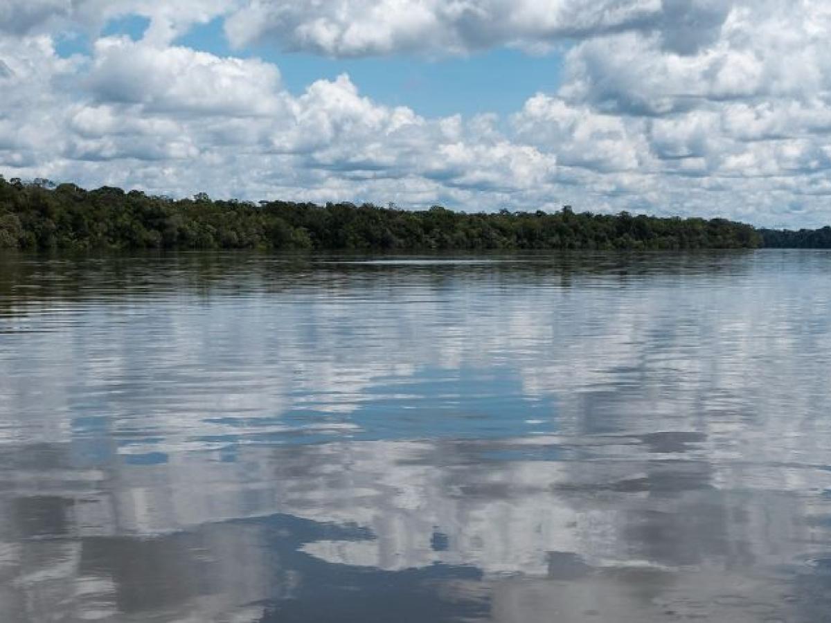 Temporada 4 / Episodio 1 Pirarucú: corazón de la Amazonía