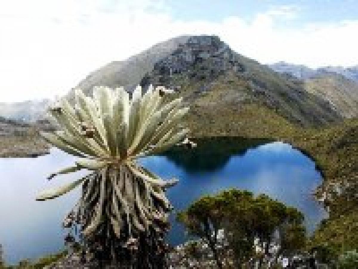 Santurbán | Radio Nacional