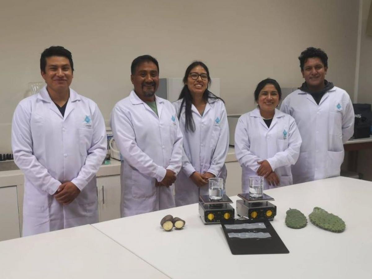 Con papas y nopal, logran remover metales pesados en el agua