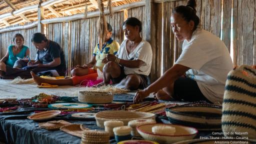 Amazonas Vibrante - Cultura