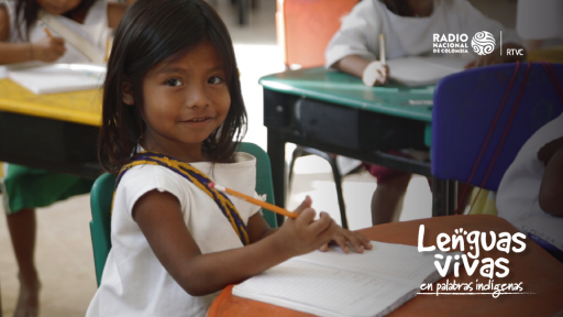 Lenguas indígenas: Damana (Sierra Nevada de Santa Marta, Magdalena)