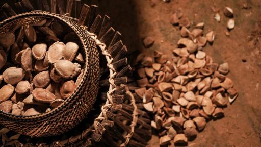 Artesanos de la Música: cascabeles de Mitú