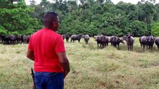 Caño Indio, el ETCR que trabaja para convertirse en una ciudadela de Paz