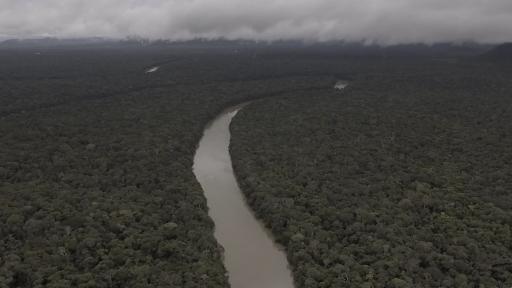 #5MinutosConMargarita: protección de la Amazonía