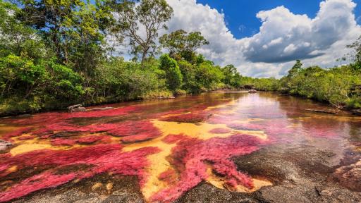 Turismo en Colombia: consejos para un turismo responsable