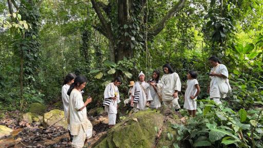 Histórico para la Sierra Nevada: justicia admite demanda de restitución a favor del pueblo Kogui