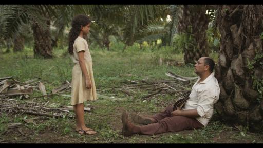 ‘El Árbol Rojo’ disponible en RTVCPlay 