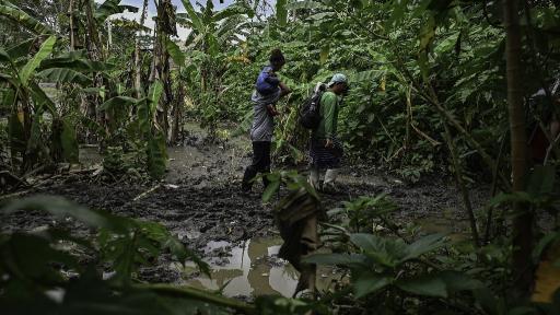 Incremento de migrantes que han cruzado la selva del Darién en 2023