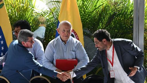   Diálogos de paz con el Eln se retomarán enero de 2025