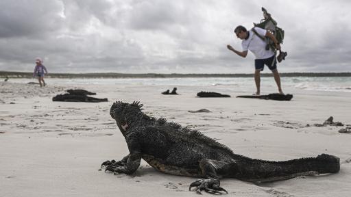 Fenómeno del Niño 2023: amenazas y altas temperaturas