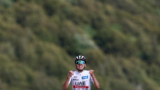 Pogacar ganó penúltima etapa del Tour de Francia
